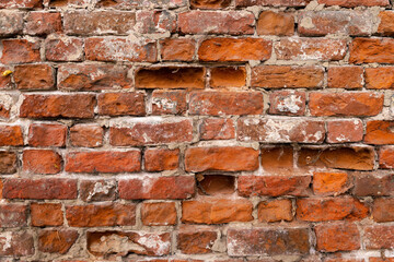 Fototapeta premium Macro texture of a beautiful red brickwork.