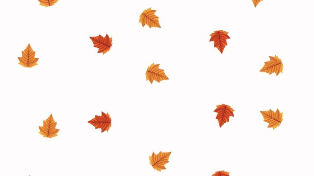 hello autumn animation with leafs pattern