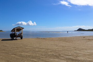 西表島〜由布島　水牛車