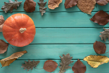 Orange pumpkin and fallen leaves on emerald background with copy space. Thanksgiving Day, Harvest...