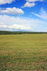Fototapeta premium Green field under the blue sky