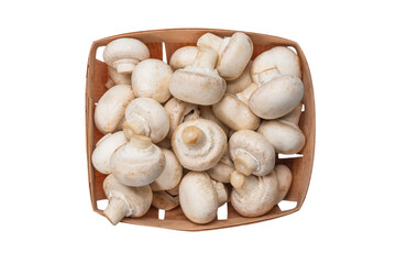 Champignon mushroom isolated on white background.