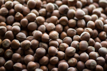 
Lots of brown hazelnuts on a dark background