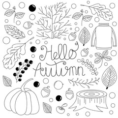 Sketchy vector hand drawn Doodle cartoon vector illustration.  autumn doodles