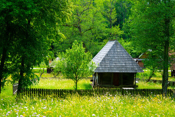 peasant house in the traditional village with thatched roof and tile
