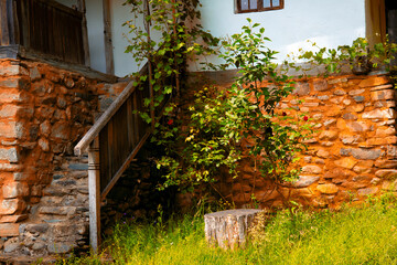 peasant house in the traditional village with thatched roof and tile