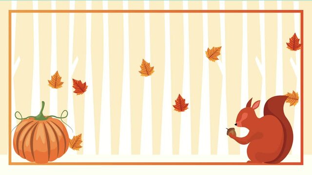 hello autumn animation with squirrel and pumpkin in frame
