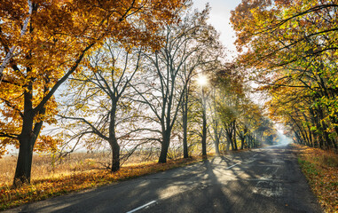 Beautiful autumn landscape with the road and the sun's rays of the setting sun.