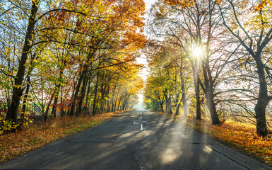 Beautiful autumn landscape with the road and the sun's rays of the setting sun.