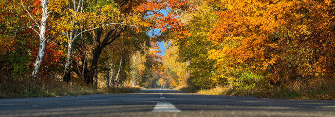 Fototapeta na wymiar Beautiful autumn landscape with the road and the sun's rays of the setting sun.