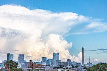 東京のかなとこ雲

Tokyo anvil cloud