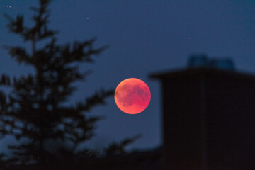 Der Blutmond © Christian Schwier