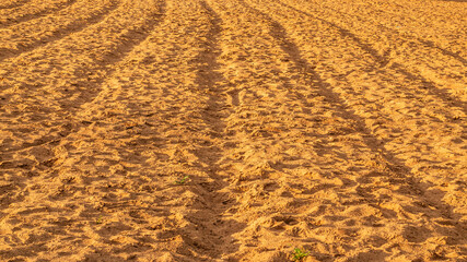 sandy beach on a sunny day
