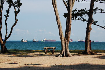シンガポールのイーストコーストのビーチのベンチと木立と水平線とタンカー