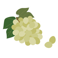 ブドウ