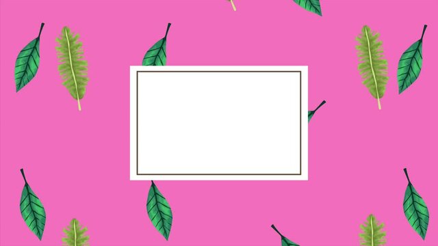 tropical exotics leafs ecology animation pattern and square frame in pink background