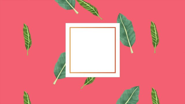 tropical exotics leafs ecology animation in square frame pink color background