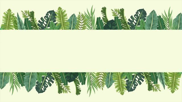 tropical exotics leafs ecology animation frame in green background