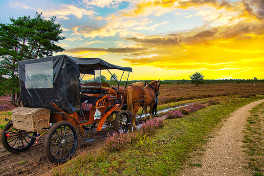 Sonnenaufgang Sonnenuntergang in der L&uuml;neburger Heide