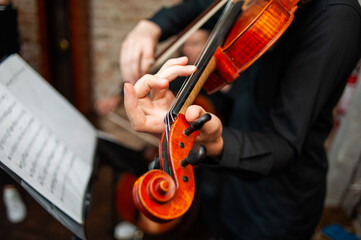Music school for studing violin  for beginners