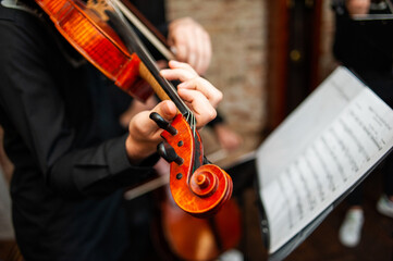 Music school for studing violin  for beginners