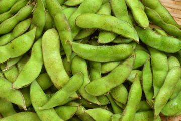 枝豆　茶豆　新潟茶豆　
