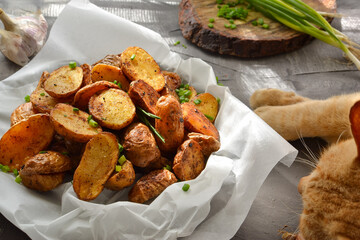 rustic potatoes. Baked potatoes with green onions and herbs on a plate with parchment. Gray background. Close-up. light from the window. Cat paws and food. The cat lies on the table with food.
