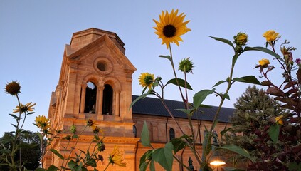 Sunflowers and a historical building in Santa Fe, New Mexico