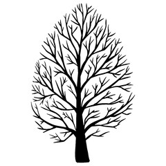 hand draw fine detail illustration of autumn tree with no leaf isolated on white background