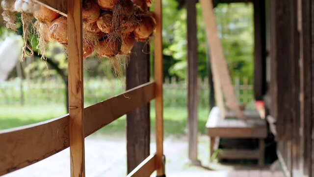 日本の古民家と軒先に干されているタマネギ
