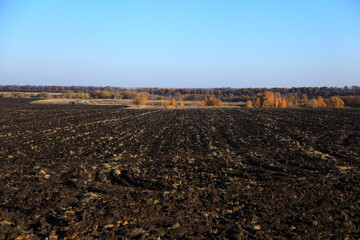 Agriculture plowed field. Dirt soil ground in farm. Tillage soil prepared for planting crop. Landscape of farmland.