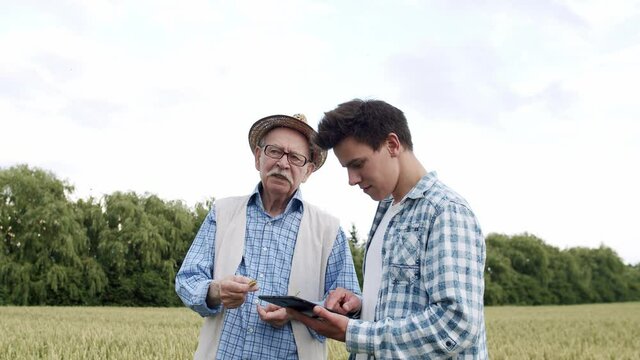 Two farmers of different ages talking and using tablet in green wheat field