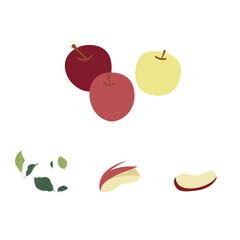 リンゴの実と葉のセット