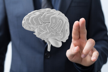 human brain imagination learning and mind