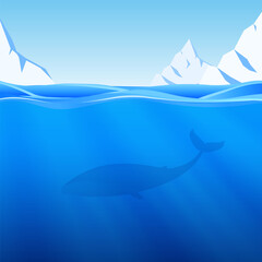 Water Background with northern sea, icebergs and whale.