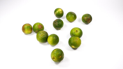 Group of calamansi golden lime heaped and scattered on white background