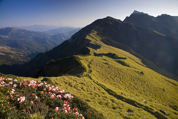 Obraz premium Qilai North Peak main ridge spring scene Taiwan