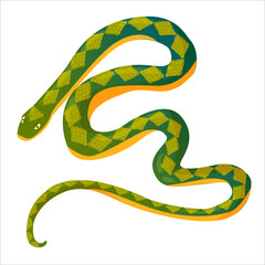 green snake, cobra or viper drawn in cartoon style. Vector illustration isolated on white background