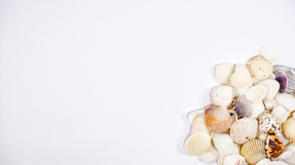 Group of calamansi golden lime heaped and scattered on white background