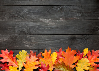 autumn leaves on black scorched background with empty space for text.