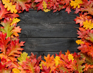 Beautiful frame with autumn leaves on black scorched background.