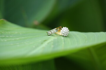 bonding of each other 