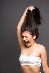 Obraz premium upset brunette woman holding damaged hair and yelling isolated on black