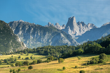 Naranjo de Bulnes, known as Picu Urriellu, from Pozo de la Oracion lookout point in Picos de Europa National Park, Asturias in Spain - 377074440