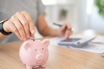 Obraz na płótnie Canvas savings and finance. women put coin into the piggy bank