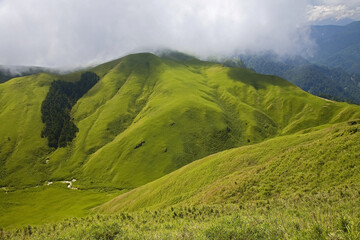 Bald Mountain Prairie Taiwan