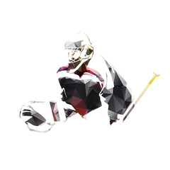 Ice hockey goalie, abstract low polygonal isolated vector illustration. Geometric hockey logo from triangles