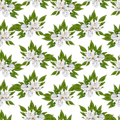 Hand painted watercolor orange fruits and orange blossom in a golden frame