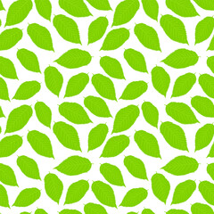 Vector illustration: Seamless pattern with cherry leaves on white background.