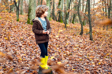 Autumn portrait of beautiful preschool boy in the park.